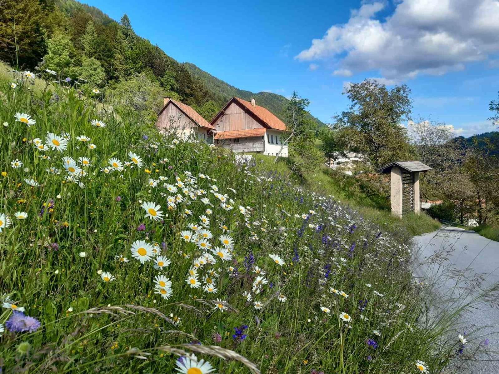 Miklavzeva Hisa With A Bread Oven Villa Zelezniki Екстериор снимка